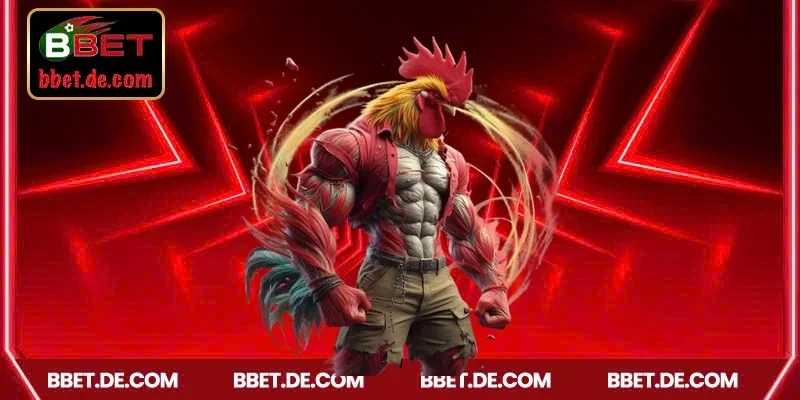 Chiến thuật chốt kèo đá gà