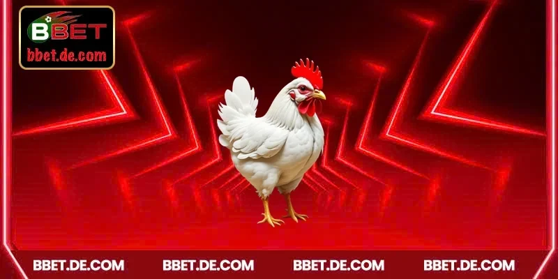 Giải đá gà nổi bật tại AOG