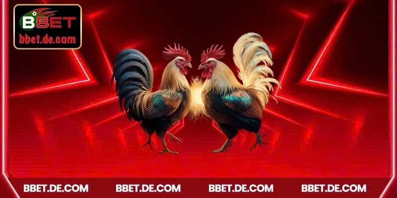 Hợp tác với nhà cung cấp uy tín